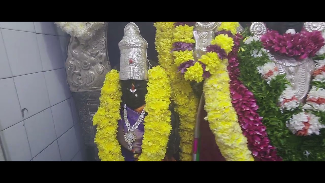 శుభోదయం ధనుర్మాస వ్రతంలో భాగంగా 29వ రోజు స్వామివారి అలంకరణ...