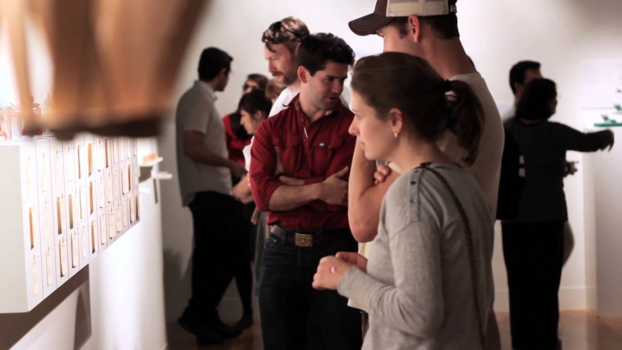 Student Stories from UT Art and Art History Grads in the 2013 Senior Art and Design Exhibitions
