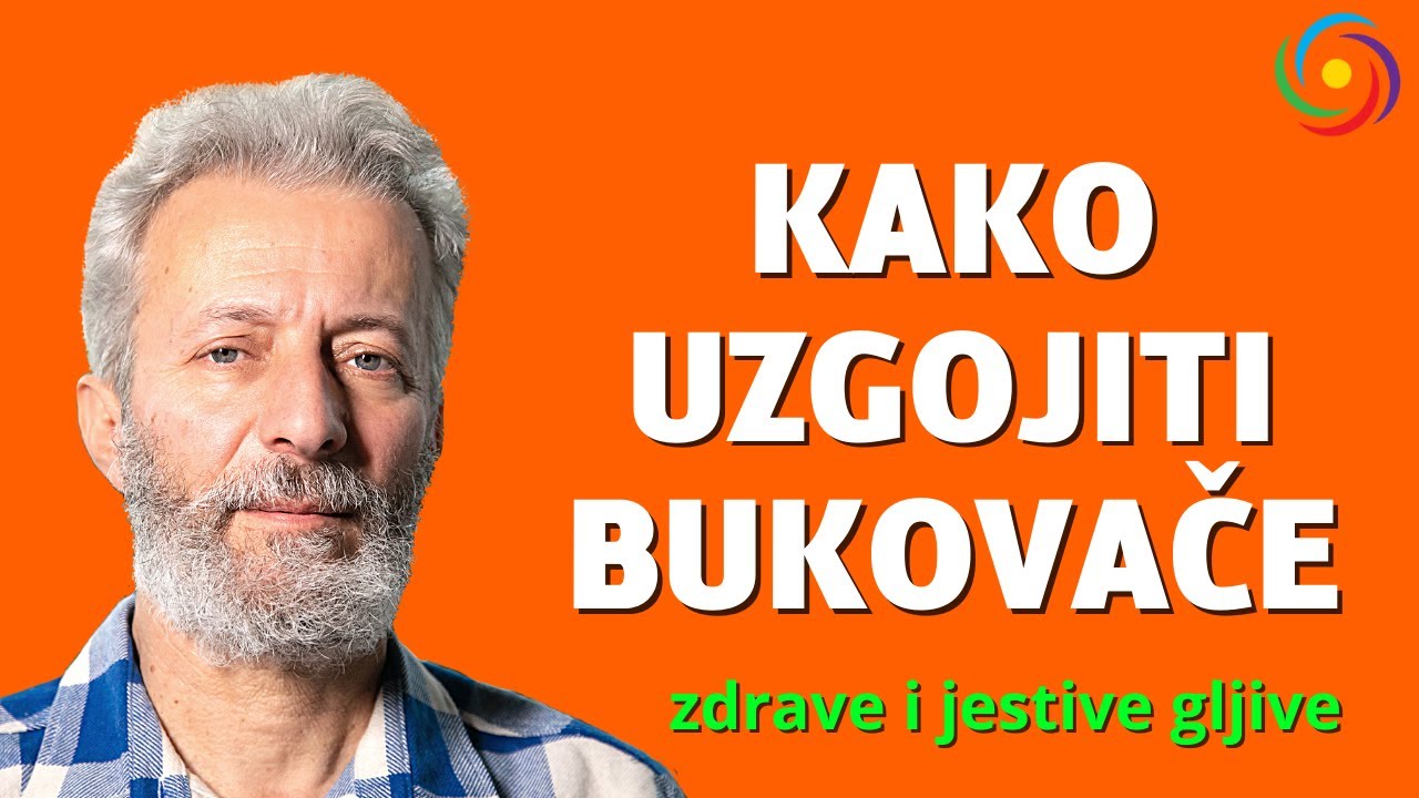 UZGOJ GLJIVE BUKOVAČE - Todor Pešterski