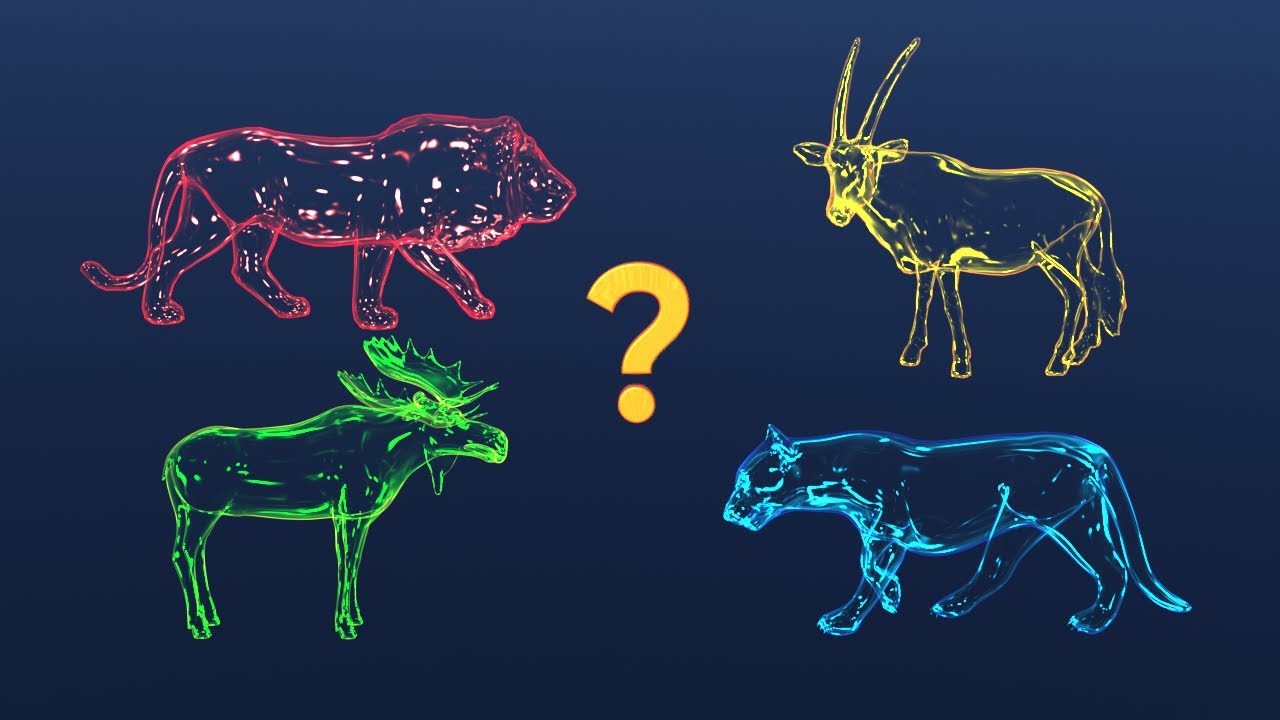 🐊🐘 Wild animals 🐅🐆🦍🦘🦧