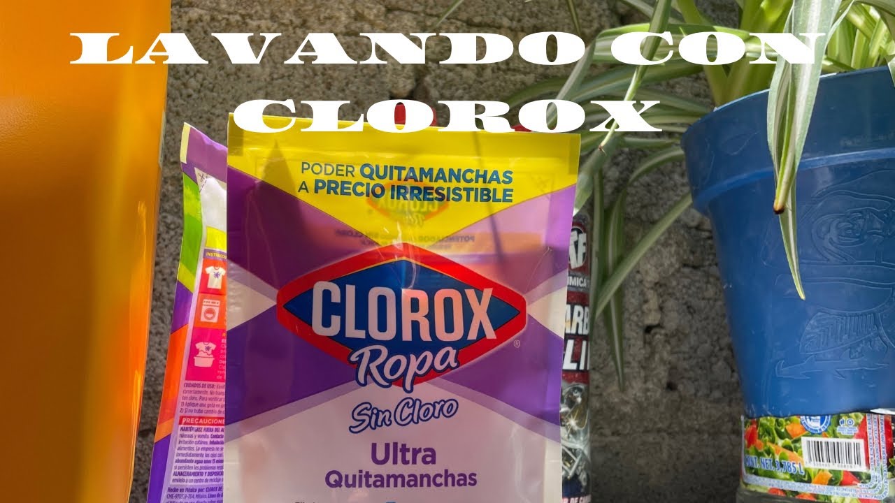 Rutina de lavado con clorox y ¿cómo hacer sopa de arroz?