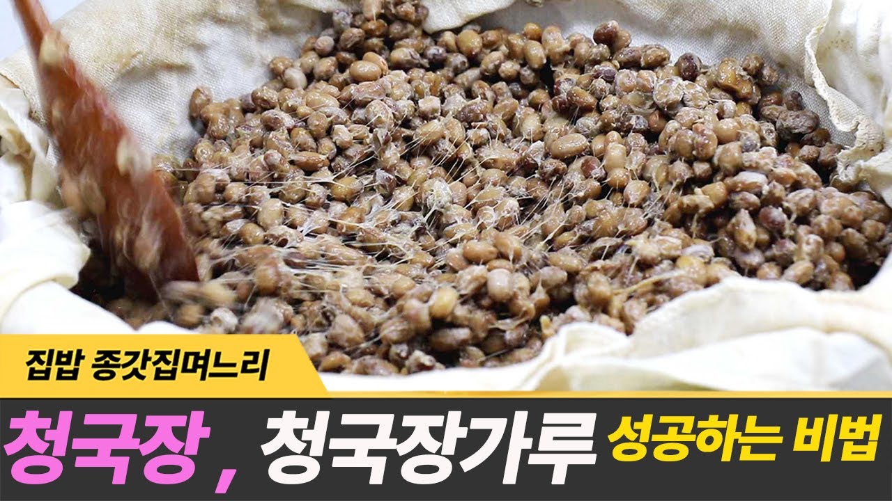 청국장 만들기 실패없이 청국장 가루 만드는 비법