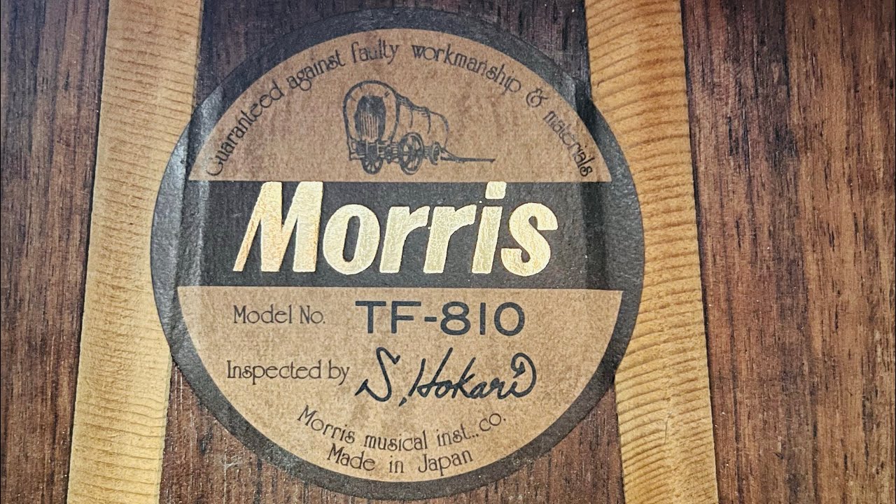 Morris TF-810 l Dòng này ngang với Morris W80 l Âm rất khủng