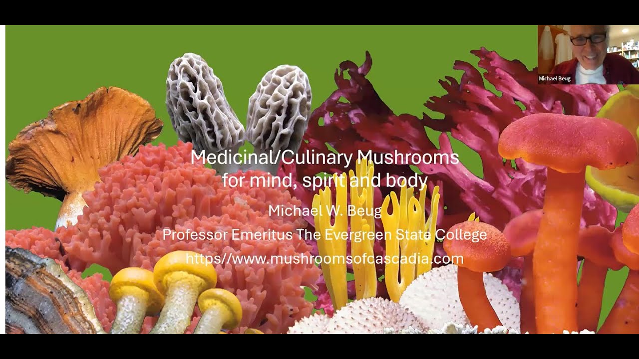 WMS Lecture - Dr. Michael Beug - Medicinal/Culinary Mushrooms: Fungi to Save Body, Mind, and Spirit