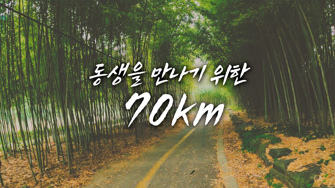 [4K] 동생 만나러 70km를 달려갔습니다😎 가는 길에 사고 목격까지.. (ft. 헬멧이 이렇게 중요합니다!) #안양천 #자전거라이딩 #자전거여행 #riding #roadbik