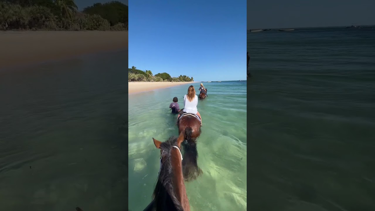 The Ocean is the Rescued Horse’s Playground on this Exotic African Island.