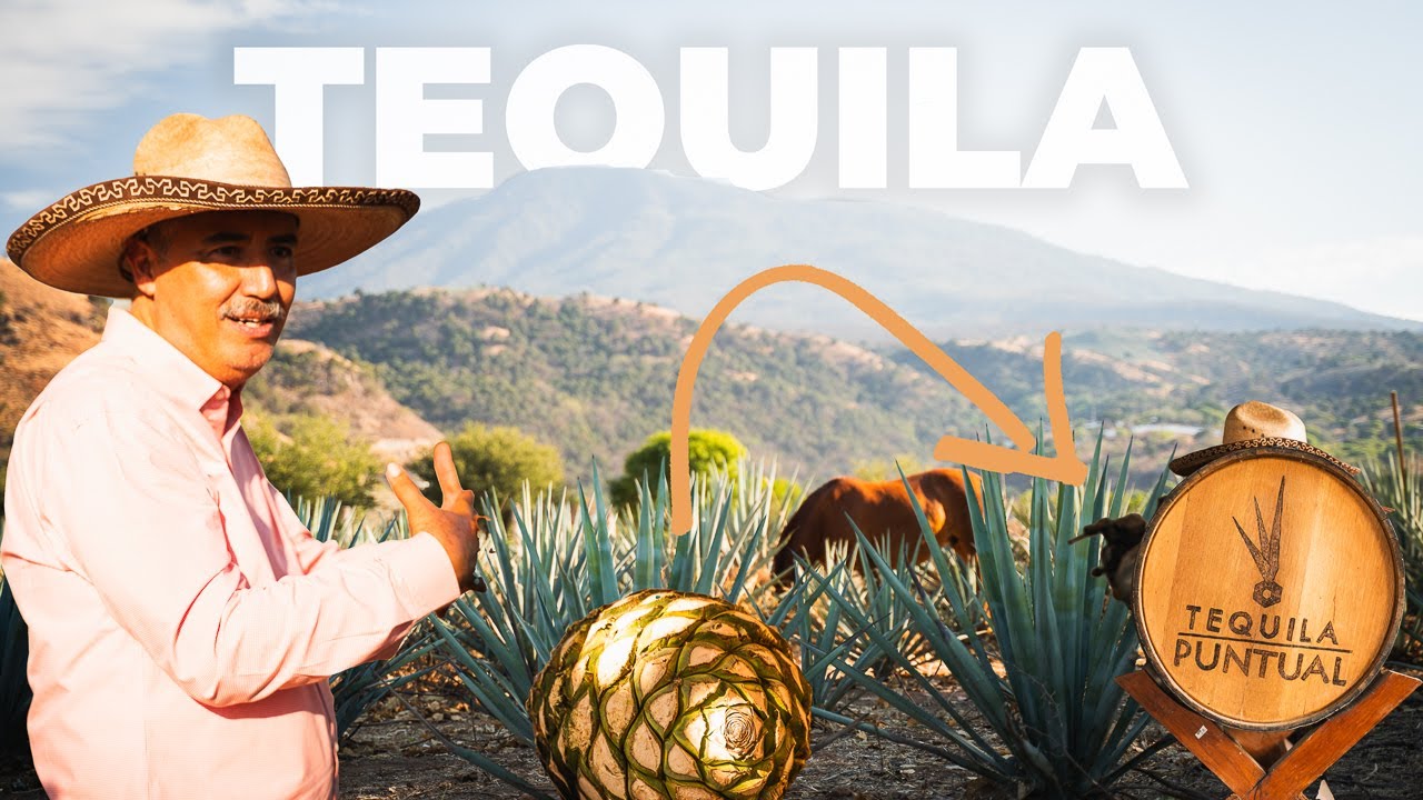 How Tequila Is Made: From Agave Fields to Glass