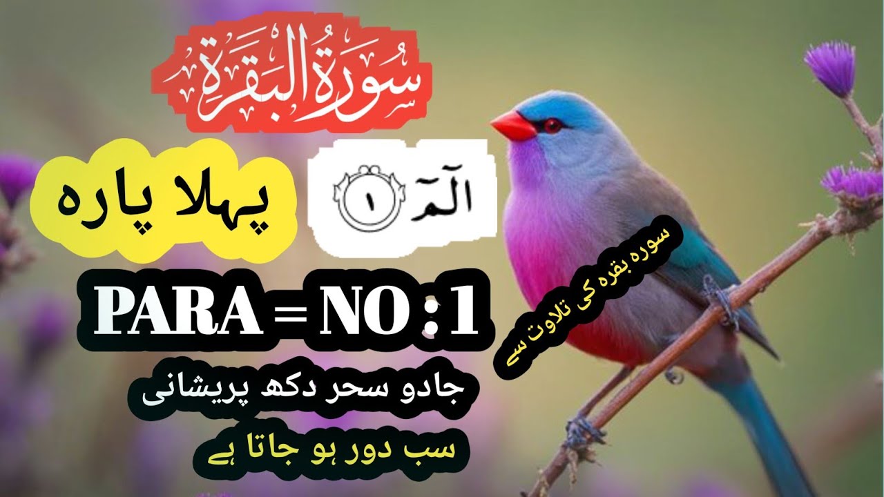 1️⃣ Alif Laam Meem 💖 Quran Para 1 Full | Pehla Para Tilawat Qari Hashim | Urdu Ki Awaz