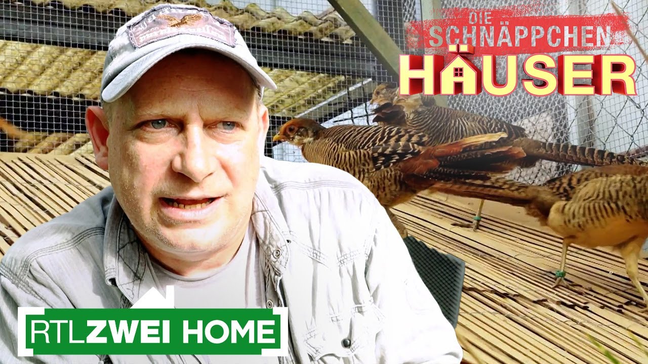 Vogelnest im Hinterhof | Die Schn&auml;ppchenh&auml;user | RTLZWEI Home
