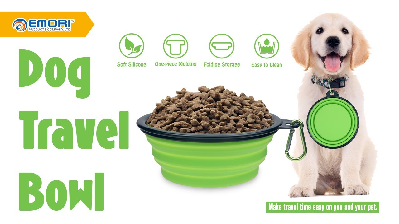 Portable Outdoor Collapsible Dog Bowl