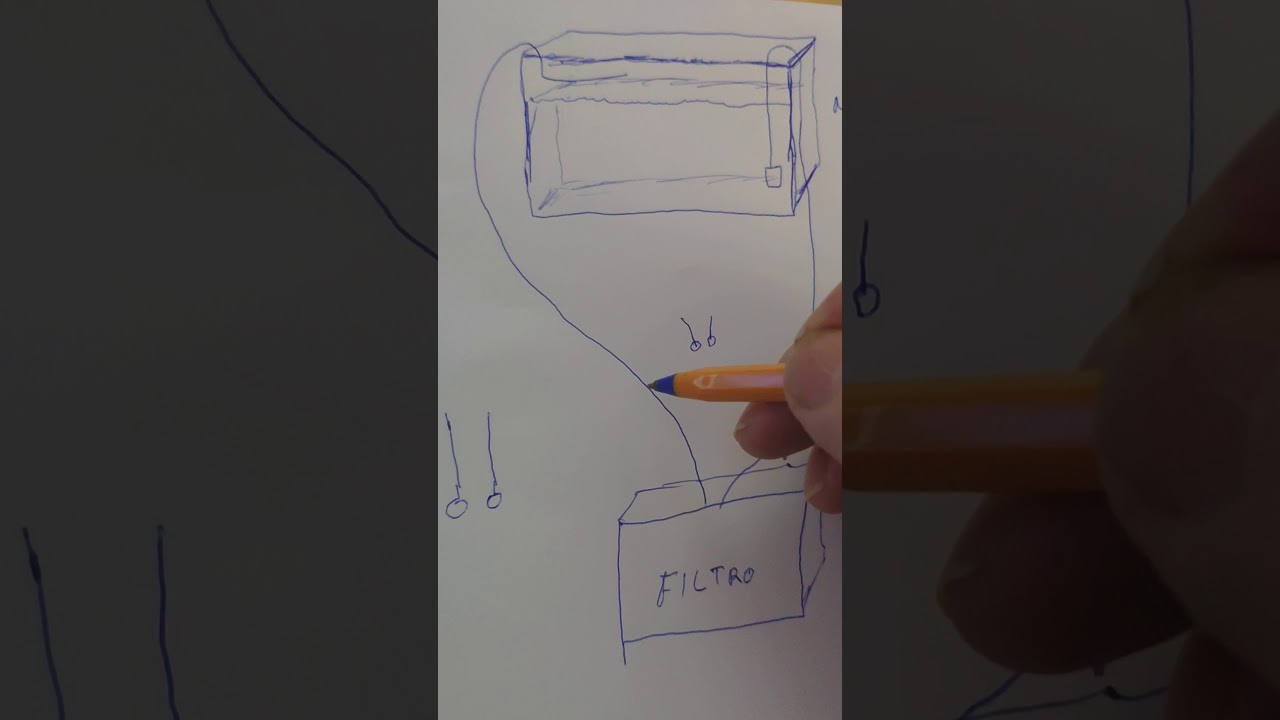 Fácil manera de cebar un filtro después de limpiarlo