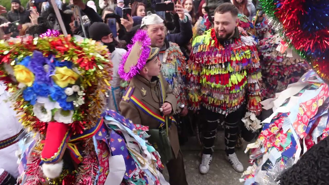 Capra cu un ieduț din Vânători, Popricani 2023