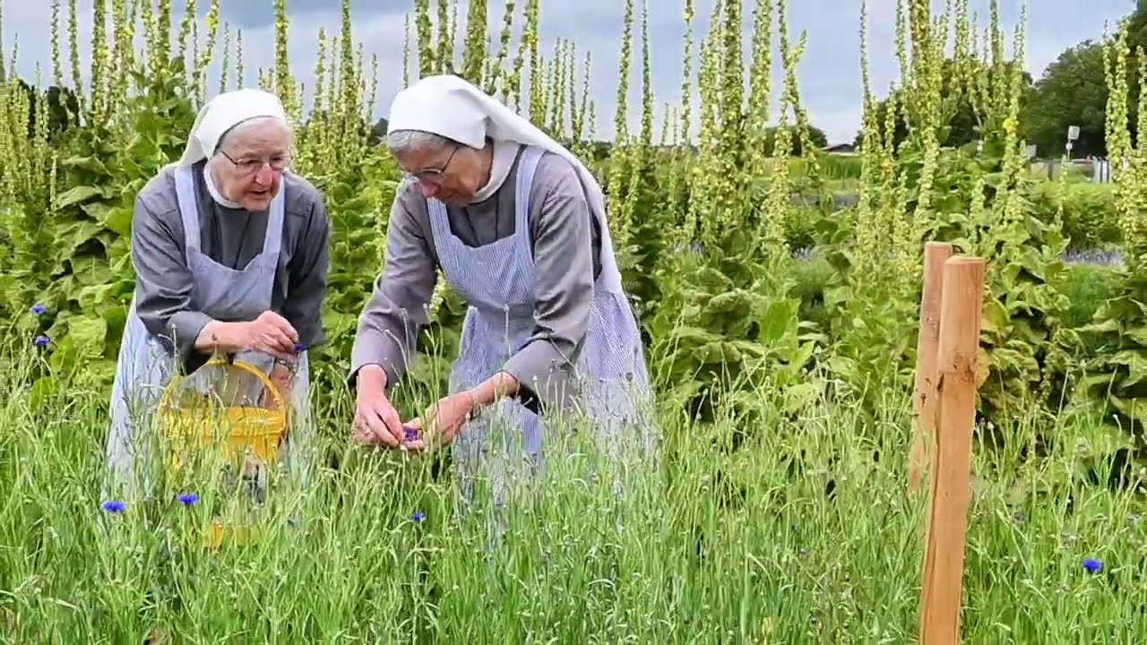Der Klostergarten der Franziskanerinnen von Reute