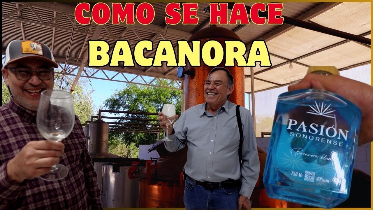 La Bebida Prohibida que Hoy Es Orgullo de Sonora: El Bacanora