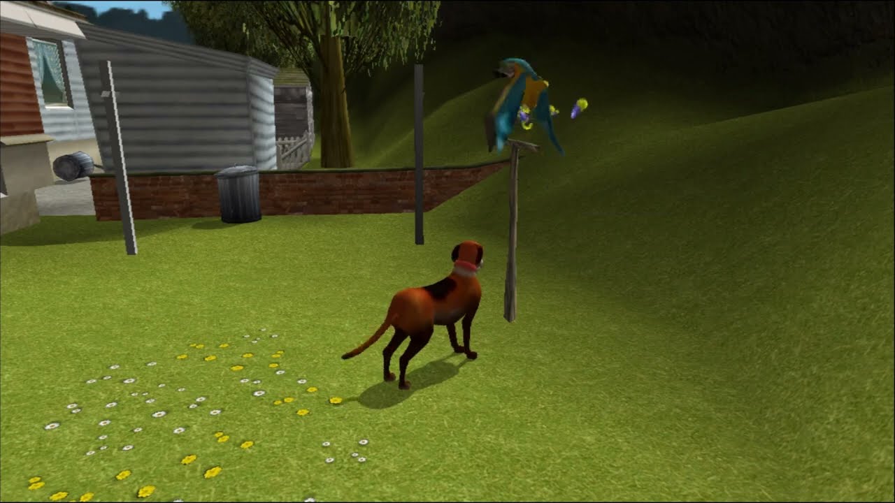 Dog's Life, Vita da Cani - PS2 Pappagalli chiacchieroni