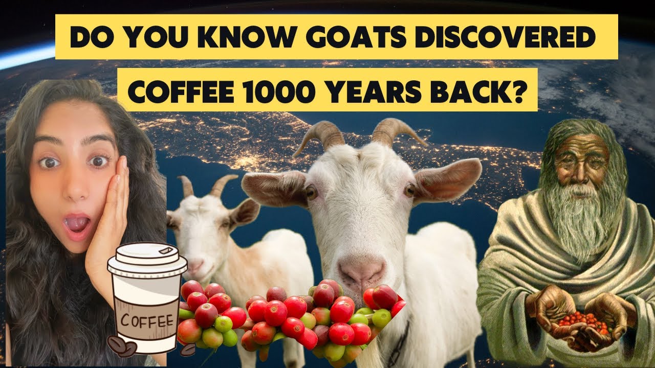 Do You Know Goat Discovered Coffee 1000 Years Back? | History Of Coffee | Arabs Love for Coffee