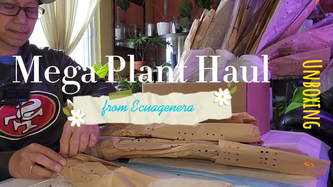 Mega Plant Haul and Unboxing from Ecuagenera