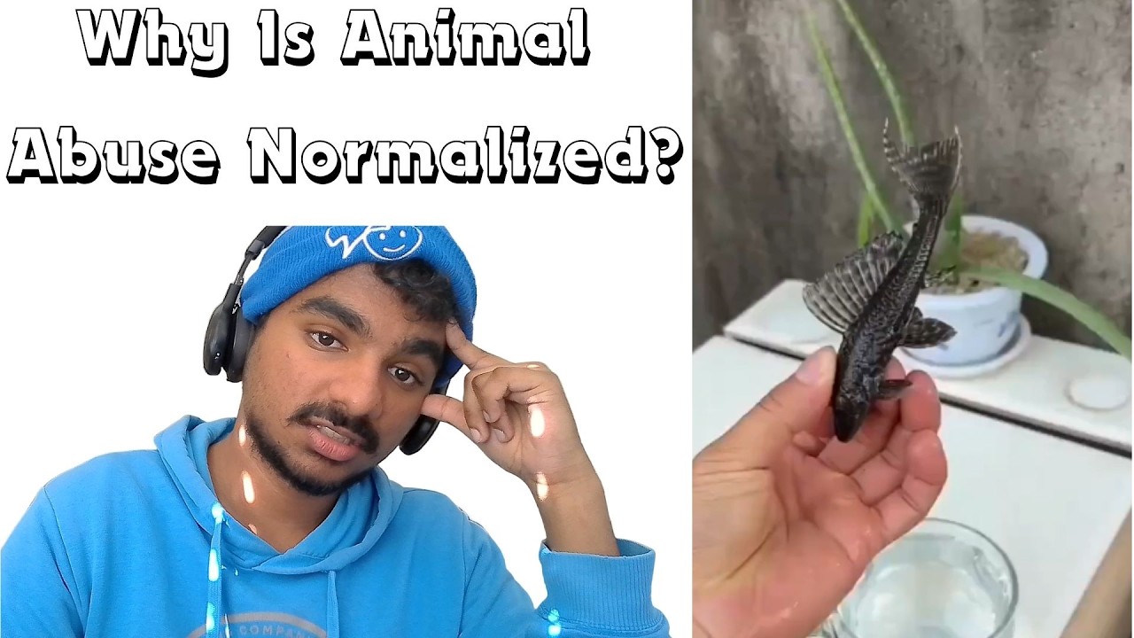 Why Is Animal Abuse Normalized?