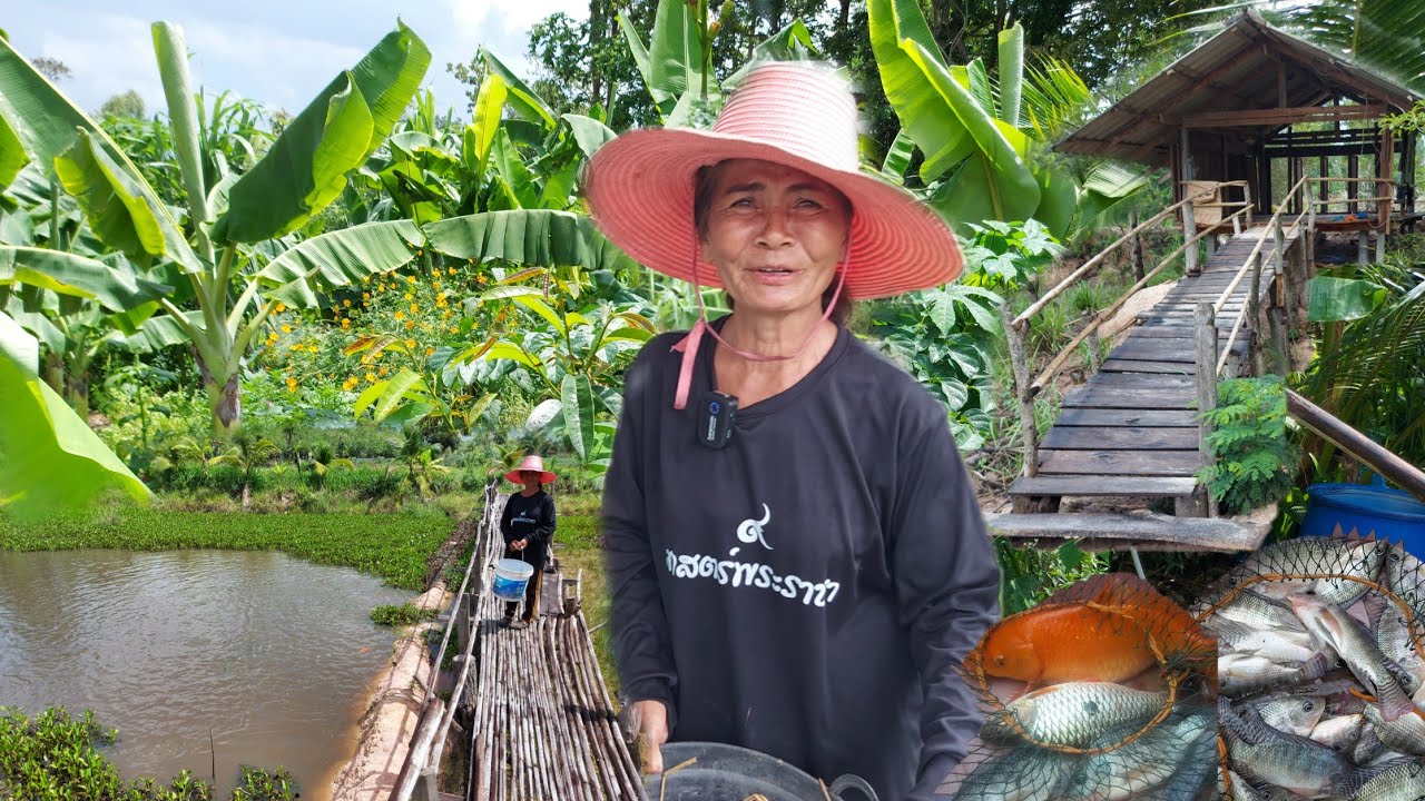 สร้างความอุดมสมบูรณ์ให้ชีวิต!! ด้วยเศรษฐกิจพอเพียง..#เกษตรผสมผสาน