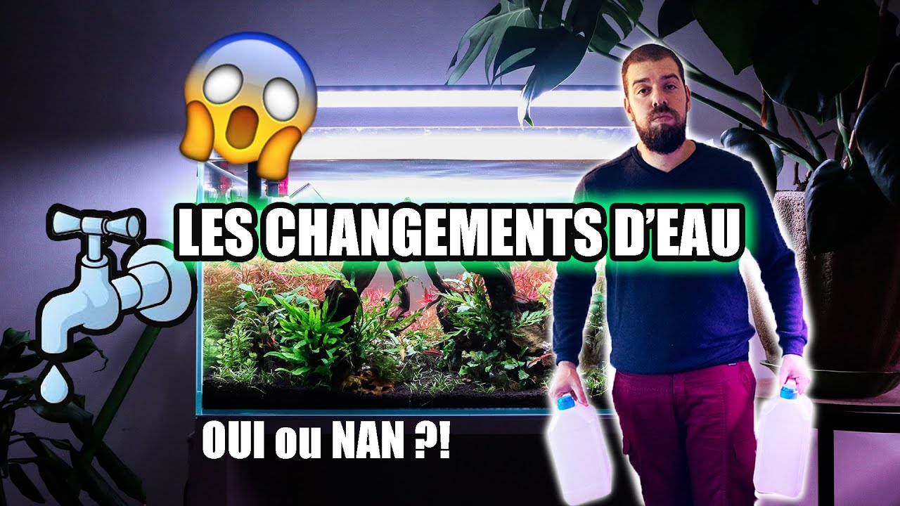 DOIS -TU CHANGER L'EAU DE TON AQUARIUM ?!