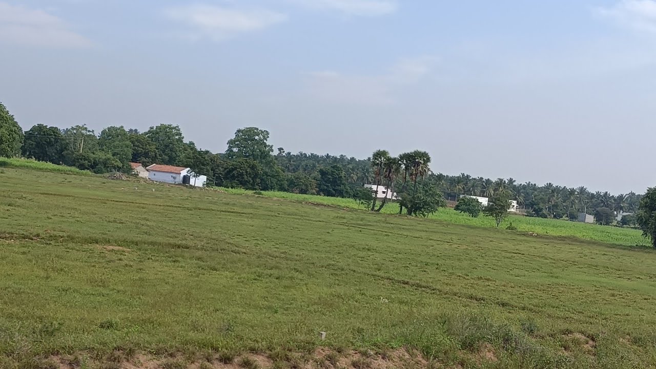 Prabadevi 1 is live