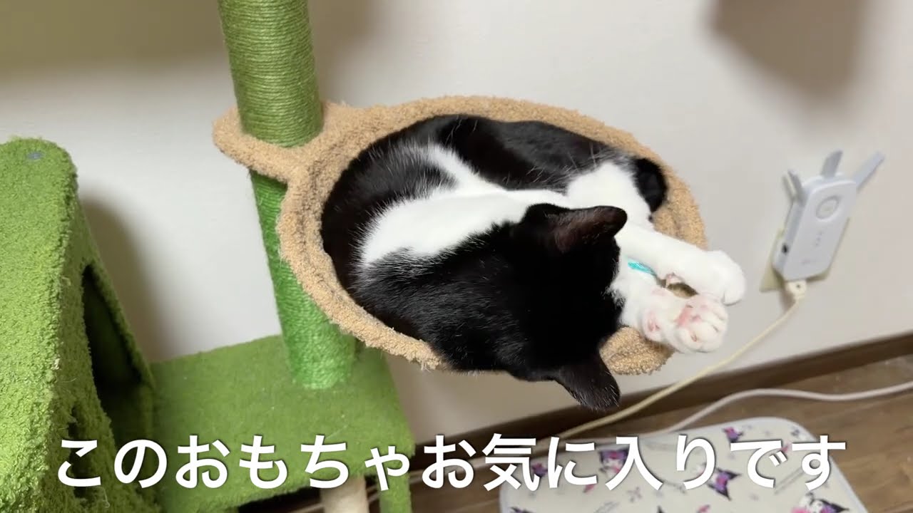カミカミはぴか遊び