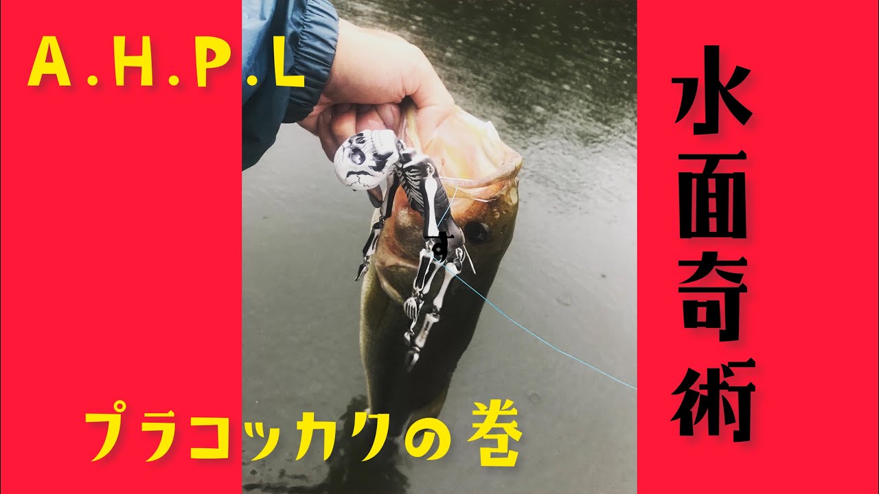 水面奇術　#20  プラコッカクの巻