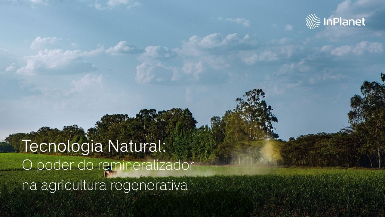 Tecnologia Natural: O poder do remineralizador na agricultura regenerativa