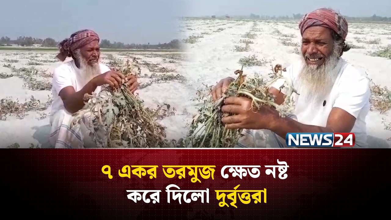 ধু ধু চরে হাউমাউ করে কা*দঁ*ছে কৃষক; ফসলের সাথে এ কেমন শ*ত্রু*তা | NEWS24 Special