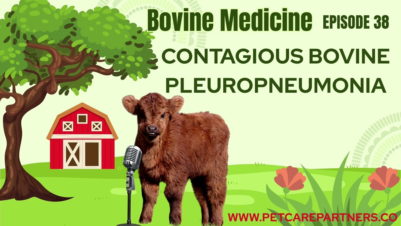 EP 38: Contagious Bovine Pleuropneumonia in Cattle | Causes, Diagnosis & Control | Pet Care Partners