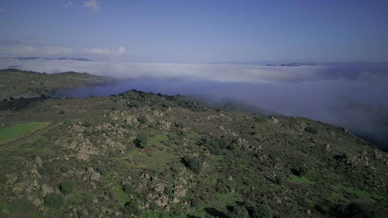 The FOG   “A Special Place”