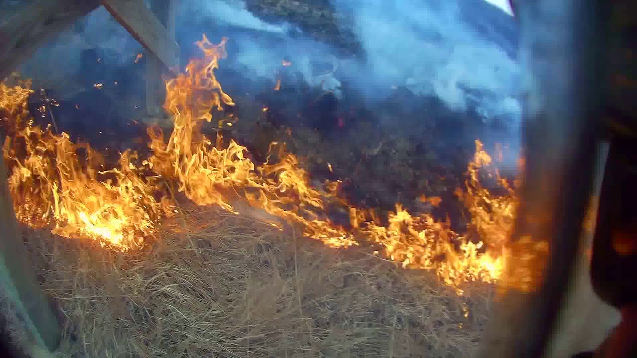 Leaf Blower Prescribed/Wildland Firefighting (2 of 4)