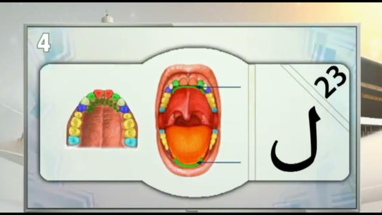 مخارج الحروف ٤ :الأستاذ الفاضل عبد القادر ابو بانة