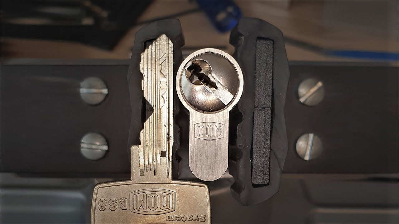 [53] DOM RS8 5 Security-Pins + 3 Security-Sidepins Picked & Gutted