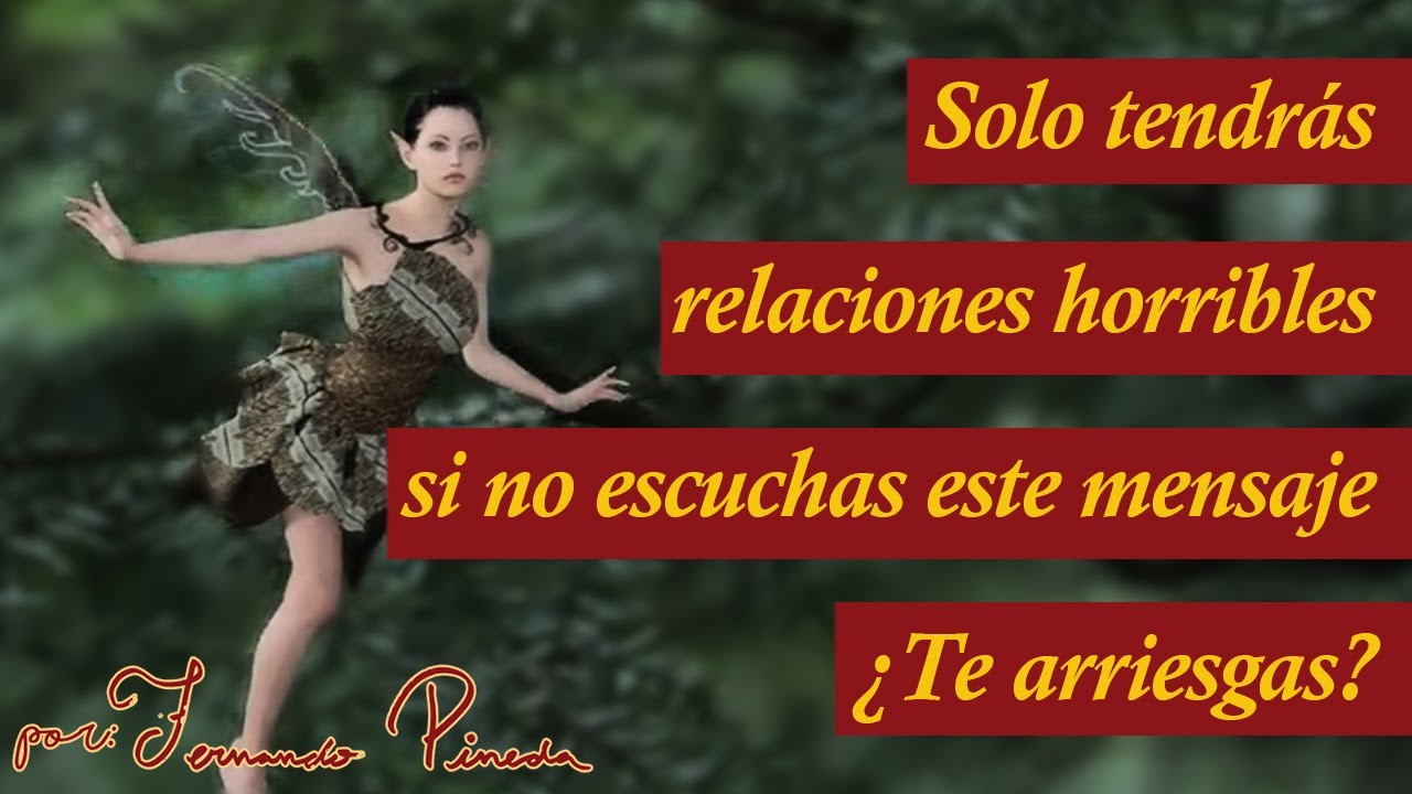 El Hada Del Amor y La Golondrina Solitaria -  Reflexión Para Encontrar La Pareja Ideal