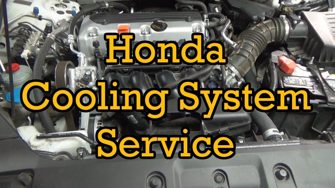 Обслуживание системы охлаждения Honda/замена жидкости
