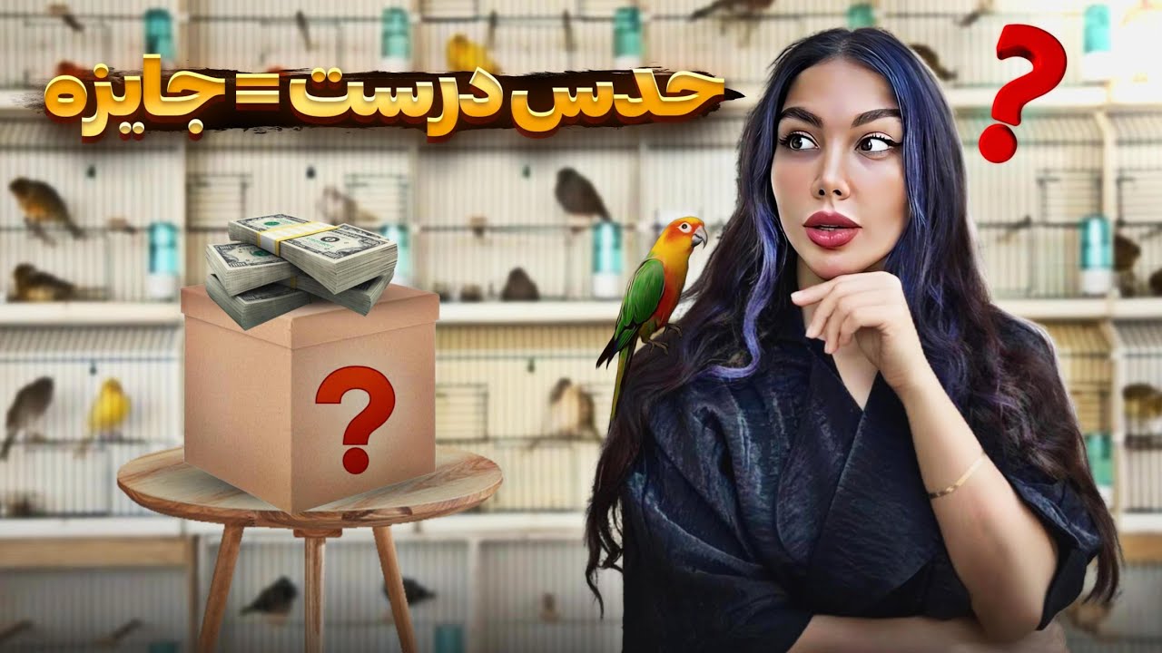 ولاگ بازار پرندگان 😍 غرفه های جدید رو برای اولین بار دیدیم🎁مسابقه و جایزه نقدی🎁