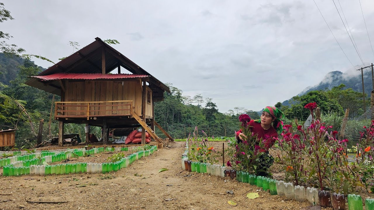 Single Mom - Collecting Scrap to Expand the Garden Around Her Dream House