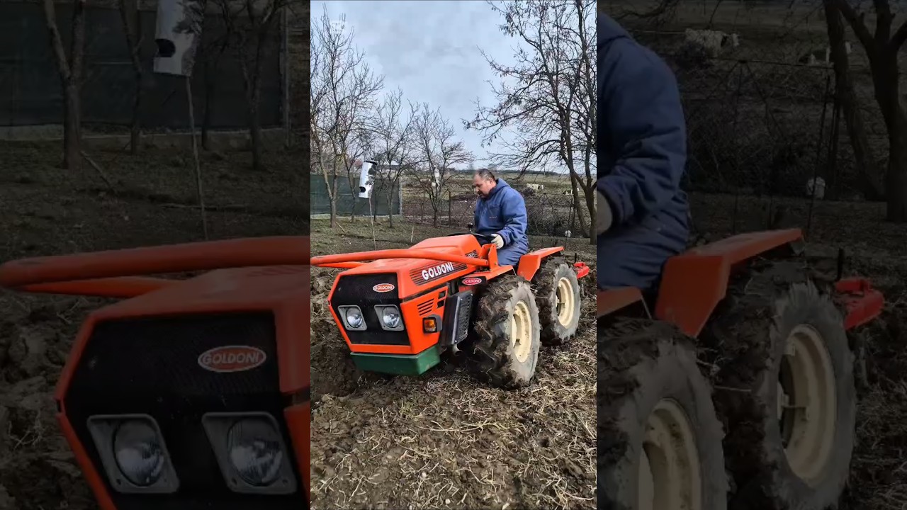 #goldoni #nuovo #goldoninuovo #arati #4x4 #romania #plug #aratura #reels #reel #goviral