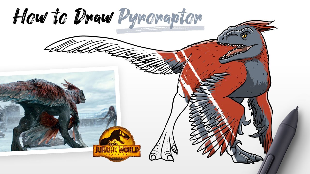 How to draw Pyroraptor dinosaur from Jurassic World Dominion movie easy step by step