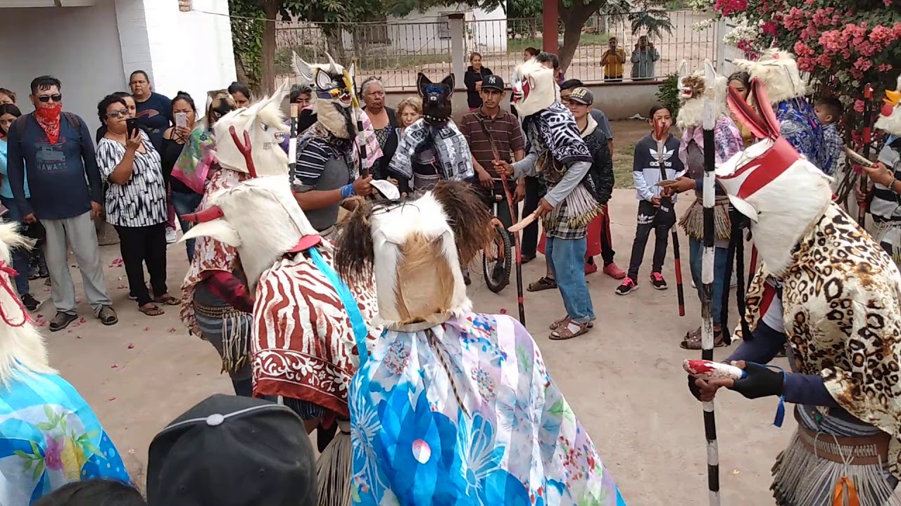Fariseos en el campo 5 2020