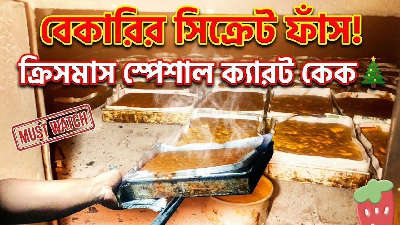 বড়দিনের কেক বানানো হচ্ছে বেকারিতে – কেউ দেখায় না এমন দৃশ্য Christmas special cake making
