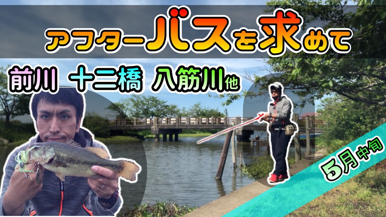 【バス釣り】霞水系ランガン_前川_八筋川_十二橋_常陸利根川‗5月中旬2022年5月10日～5月17日