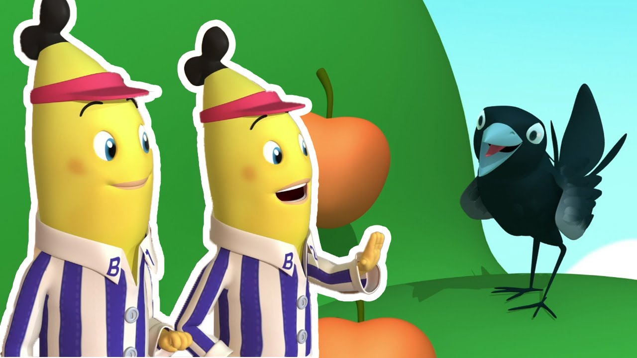 Batalha de aves | Bananas de Pijama Temporada 1 | Episódios completos | Bananas de Pijama