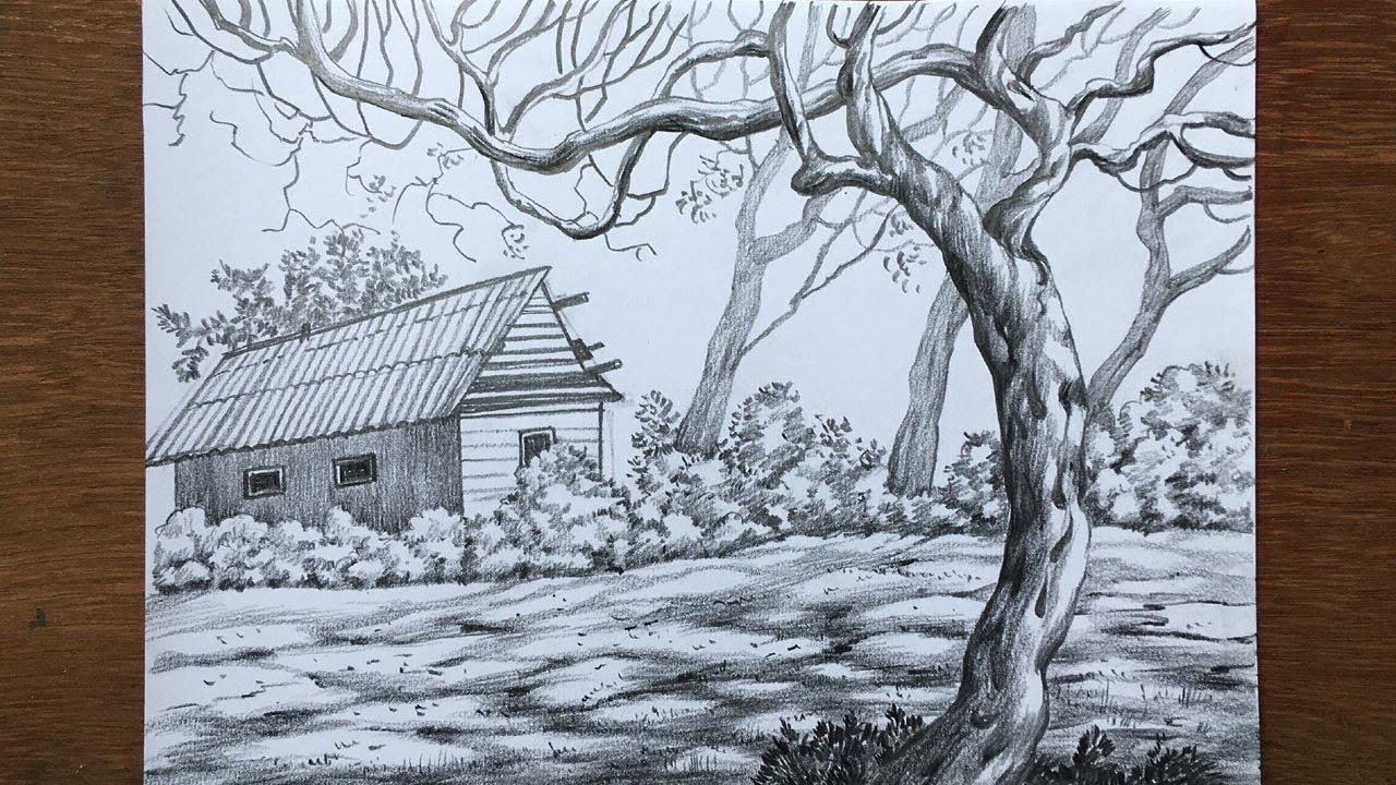 Simple village scenery drawing in pencil | pencil sketch | pencil sketch for beginners