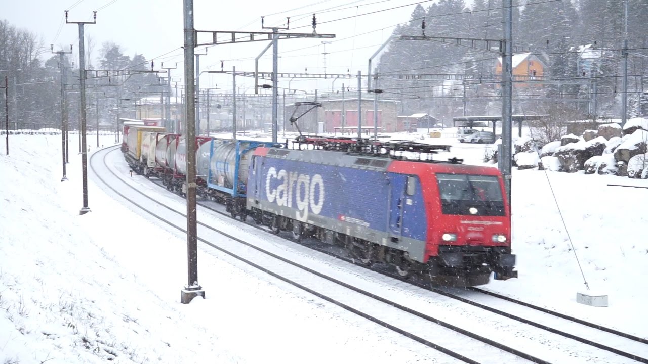 Swiss Trains: Trains in the Snow!