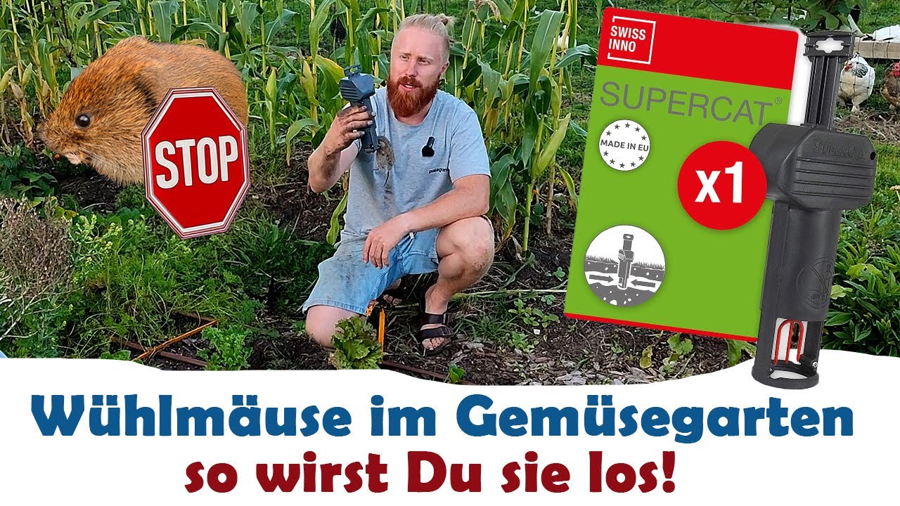 Wühlmäuse bekämpfen! Das beste Mittel gegen Wühlmäuse! Schlagfalle SuperCat Anleitung