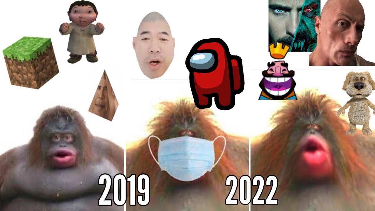 Evolution of kracc bacc (2019-2022)