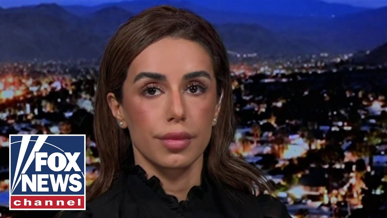 Anti-Israel protests at US universities spur viral backlash from Iranian-born lawyer