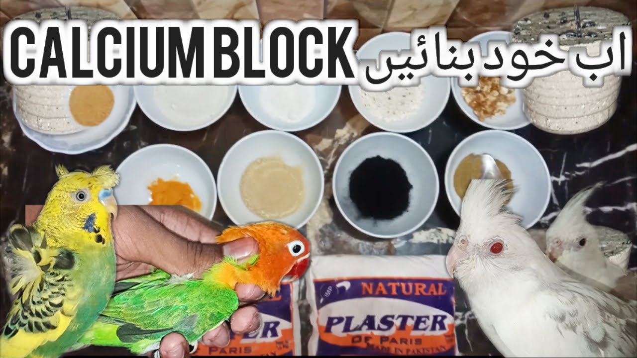 Home made Calcium Blocks Good and perfect for Birds health with breeding formula.